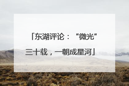 东湖评论：“微光”三十载，一朝成星河