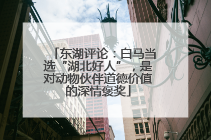 东湖评论：白马当选“湖北好人”，是对动物伙伴道德价值的深情褒奖