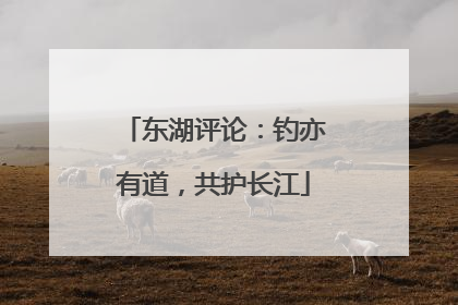 东湖评论：钓亦有道，共护长江