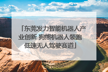 东莞发力智能机器人产业创新 狗熊机器人领跑低速无人驾驶赛道