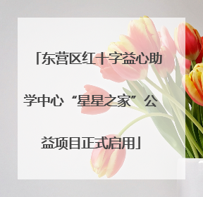 东营区红十字益心助学中心“星星之家”公益项目正式启用