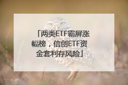 两类ETF霸屏涨幅榜，信创ETF资金套利存风险