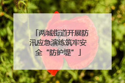 两城街道开展防汛应急演练筑牢安全“防护堤”