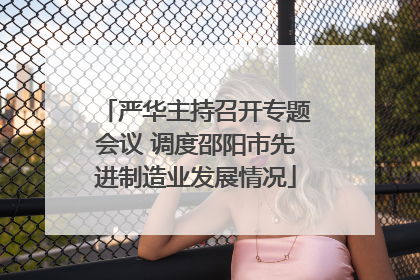 严华主持召开专题会议 调度邵阳市先进制造业发展情况