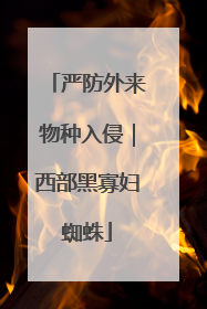 严防外来物种入侵｜西部黑寡妇蜘蛛
