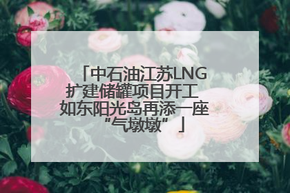 中石油江苏LNG扩建储罐项目开工 如东阳光岛再添一座“气墩墩”
