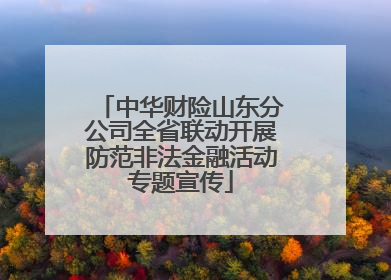 中华财险山东分公司全省联动开展防范非法金融活动专题宣传