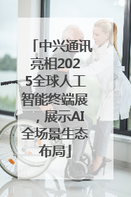 中兴通讯亮相2025全球人工智能终端展，展示AI全场景生态布局