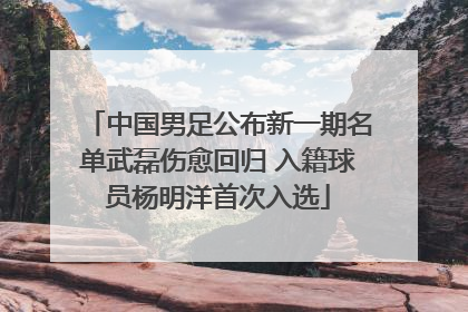 中国男足公布新一期名单武磊伤愈回归 入籍球员杨明洋首次入选