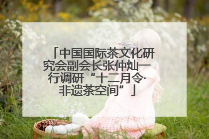 中国国际茶文化研究会副会长张仲灿一行调研“十二月令·非遗茶空间”
