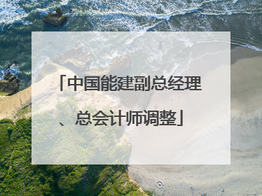 中国能建副总经理、总会计师调整