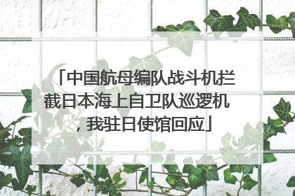 中国航母编队战斗机拦截日本海上自卫队巡逻机，我驻日使馆回应