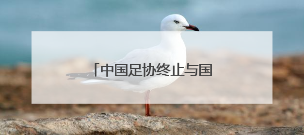 中国足协终止与国足主帅伊万合作
