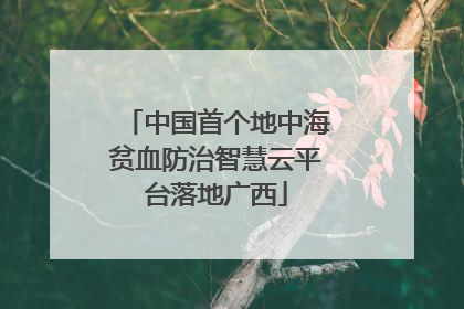 中国首个地中海贫血防治智慧云平台落地广西