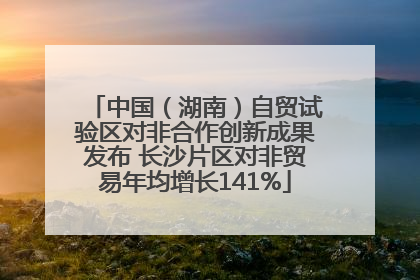 中国（湖南）自贸试验区对非合作创新成果发布 长沙片区对非贸易年均增长141%