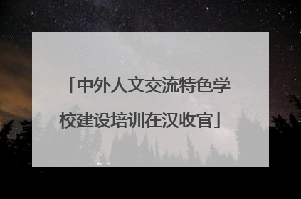中外人文交流特色学校建设培训在汉收官