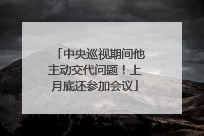中央巡视期间他主动交代问题！上月底还参加会议