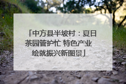 中方县半坡村：夏日茶园管护忙 特色产业绘就振兴新图景