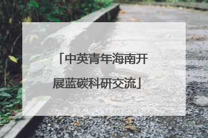 中英青年海南开展蓝碳科研交流
