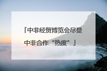 中非经贸博览会尽显中非合作“热度”