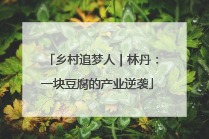 乡村追梦人｜林丹：一块豆腐的产业逆袭