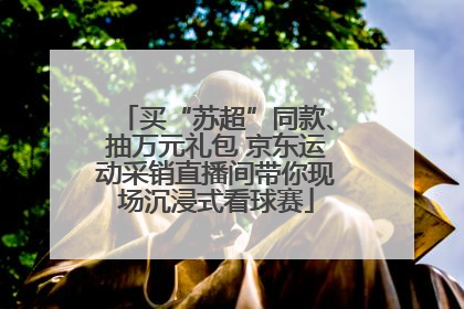 买“苏超”同款、抽万元礼包 京东运动采销直播间带你现场沉浸式看球赛
