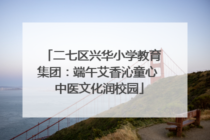 二七区兴华小学教育集团：端午艾香沁童心 中医文化润校园