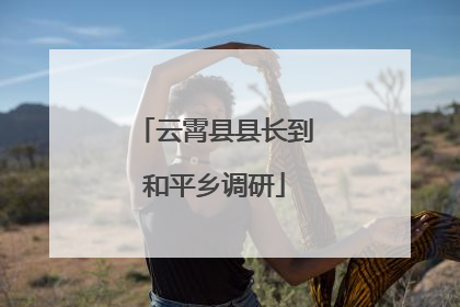 云霄县县长到和平乡调研