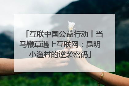 互联中国公益行动丨当马鞭草遇上互联网：昆明小渔村的逆袭密码