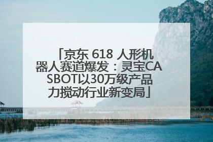 京东 618 人形机器人赛道爆发：灵宝CASBOT以30万级产品力搅动行业新变局