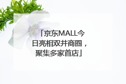 京东MALL今日亮相双井商圈，聚集多家首店