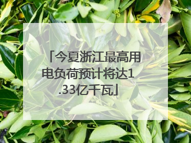 今夏浙江最高用电负荷预计将达1.33亿千瓦