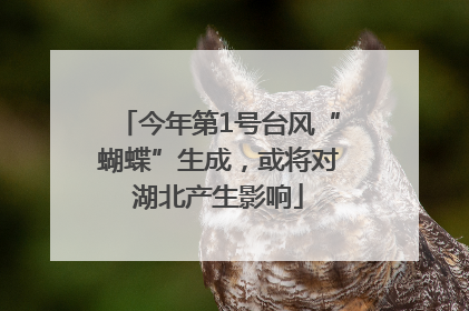 今年第1号台风“蝴蝶”生成，或将对湖北产生影响