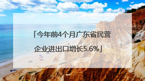今年前4个月广东省民营企业进出口增长5.6%