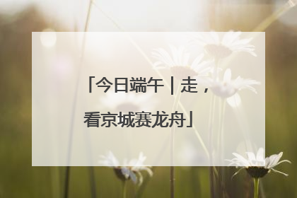 今日端午｜走，看京城赛龙舟