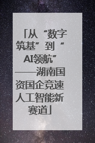 从“数字筑基”到“AI领航”——湖南国资国企竞速人工智能新赛道