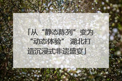 从“静态陈列”变为“动态体验” 湖北打造沉浸式非遗盛宴