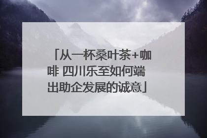 从一杯桑叶茶+咖啡 四川乐至如何端出助企发展的诚意