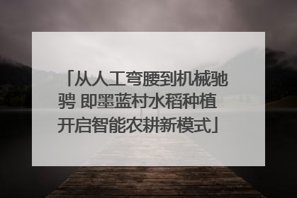 从人工弯腰到机械驰骋 即墨蓝村水稻种植开启智能农耕新模式