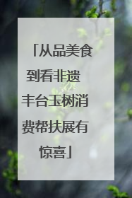 从品美食到看非遗 丰台玉树消费帮扶展有惊喜