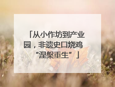 从小作坊到产业园，非遗史口烧鸡“涅槃重生”