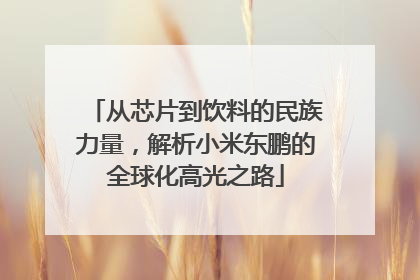 从芯片到饮料的民族力量，解析小米东鹏的全球化高光之路
