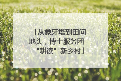 从象牙塔到田间地头，博士服务团“耕读”新乡村