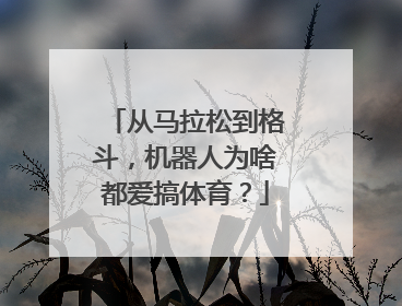 从马拉松到格斗，机器人为啥都爱搞体育？