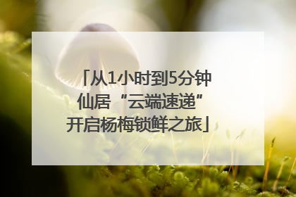 从1小时到5分钟 仙居“云端速递”开启杨梅锁鲜之旅