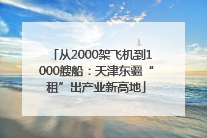 从2000架飞机到1000艘船：天津东疆“租”出产业新高地
