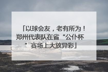 以球会友，老有所为！郑州代表队在省“公仆杯”赛场上大放异彩