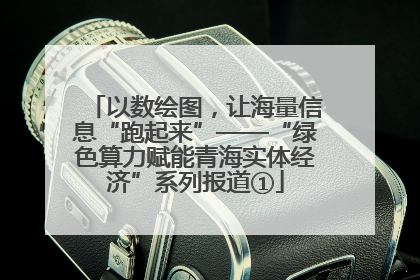以数绘图，让海量信息“跑起来”——“绿色算力赋能青海实体经济”系列报道①