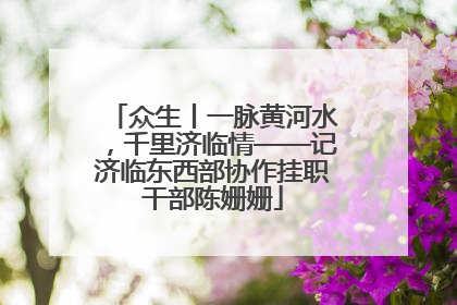 众生丨一脉黄河水，千里济临情——记济临东西部协作挂职干部陈姗姗