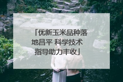 优新玉米品种落地昌平 科学技术指导助力丰收